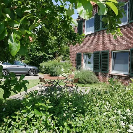 Lachmoewe بوتجادينغين