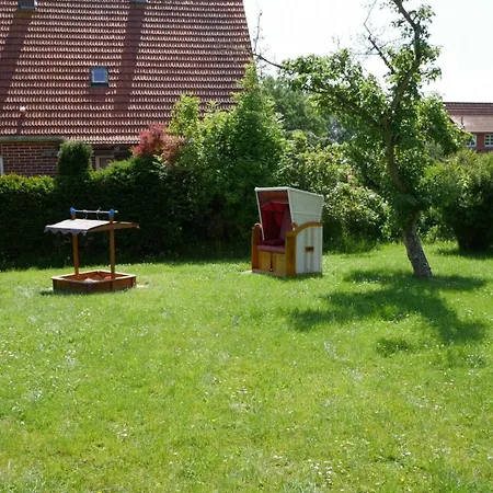 Lachmoewe * بوتجادينغين