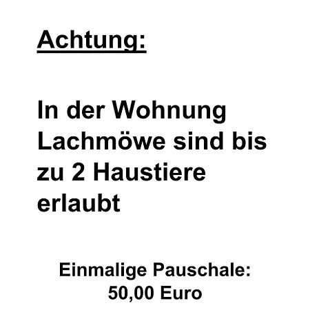 Lachmoewe *